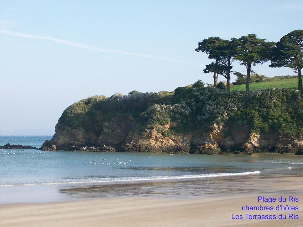 Les Terrasses Du Ris Bed & Breakfast Douarnenez Exterior photo
