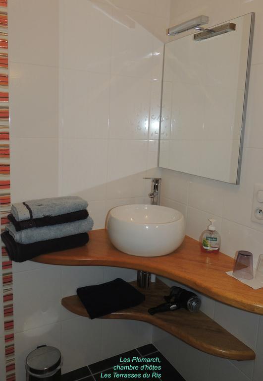 Les Terrasses Du Ris Bed & Breakfast Douarnenez Room photo