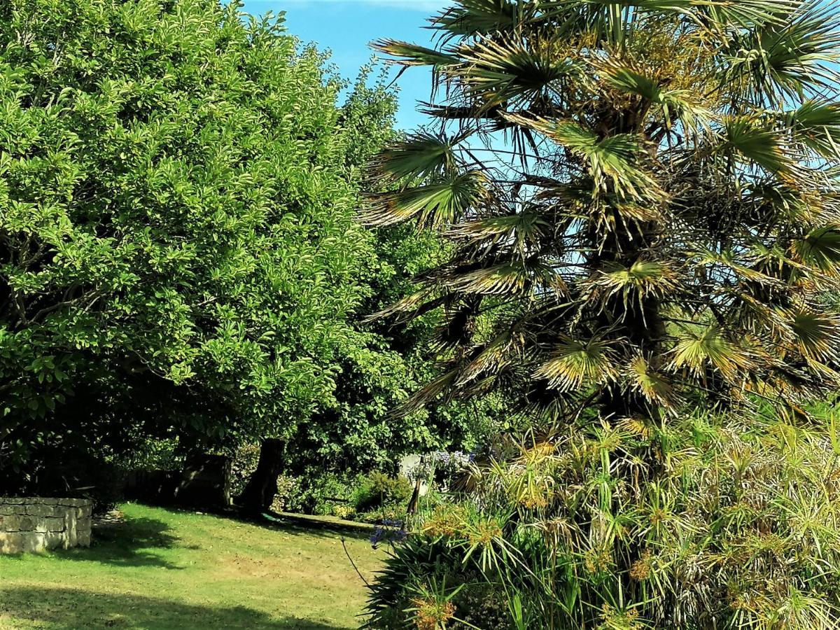 Les Terrasses Du Ris Bed & Breakfast Douarnenez Exterior photo